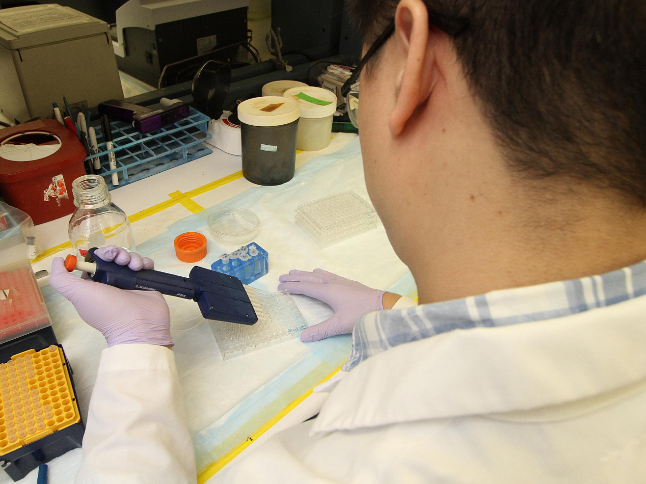 A New York Blood Center Enterprises researcher filling a tray during an experiment.