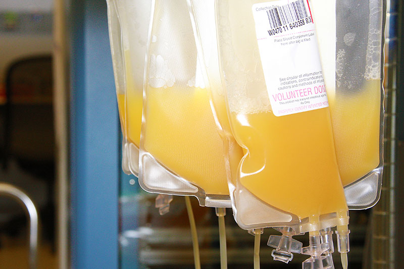Bags of straw-colored donated plasma