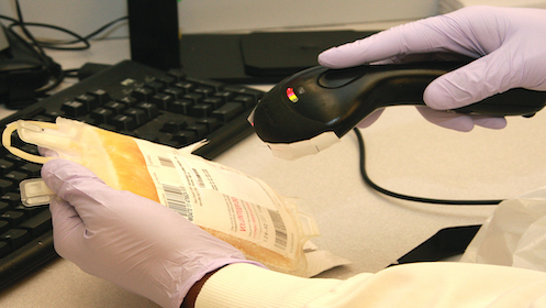 Lab tech with gloved hands scanning in a bag of blood plasma.